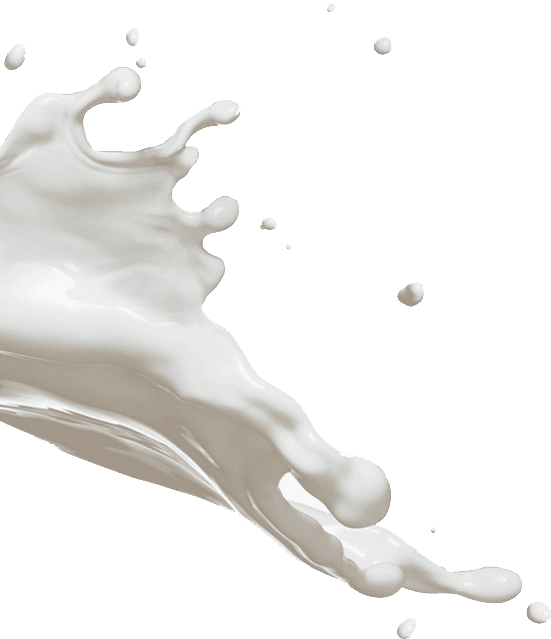 Description of the image