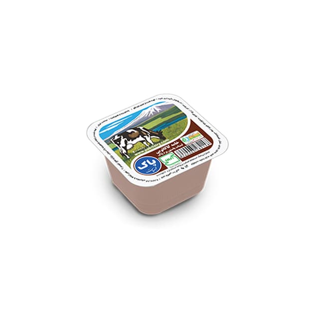 خامه پاستوریزه شکلاتی لیوانی 100گرم